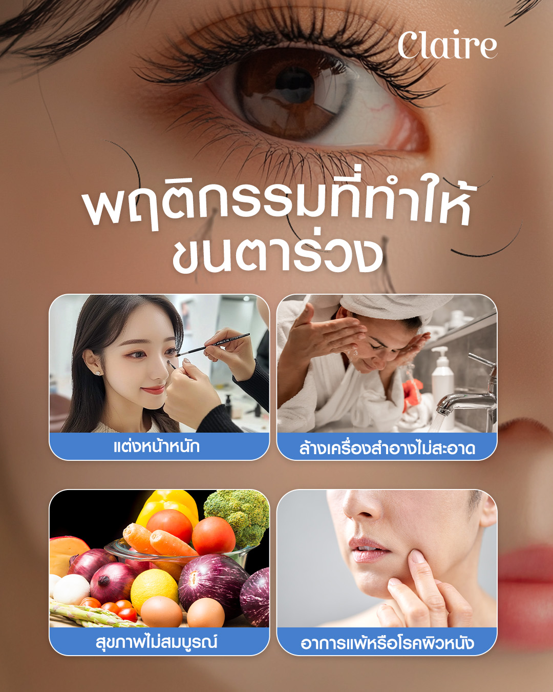 วงจรการหลุดร่วงของขนตา, ขนตาร่วง, ขนตา, ทำไมขนตาร่วง