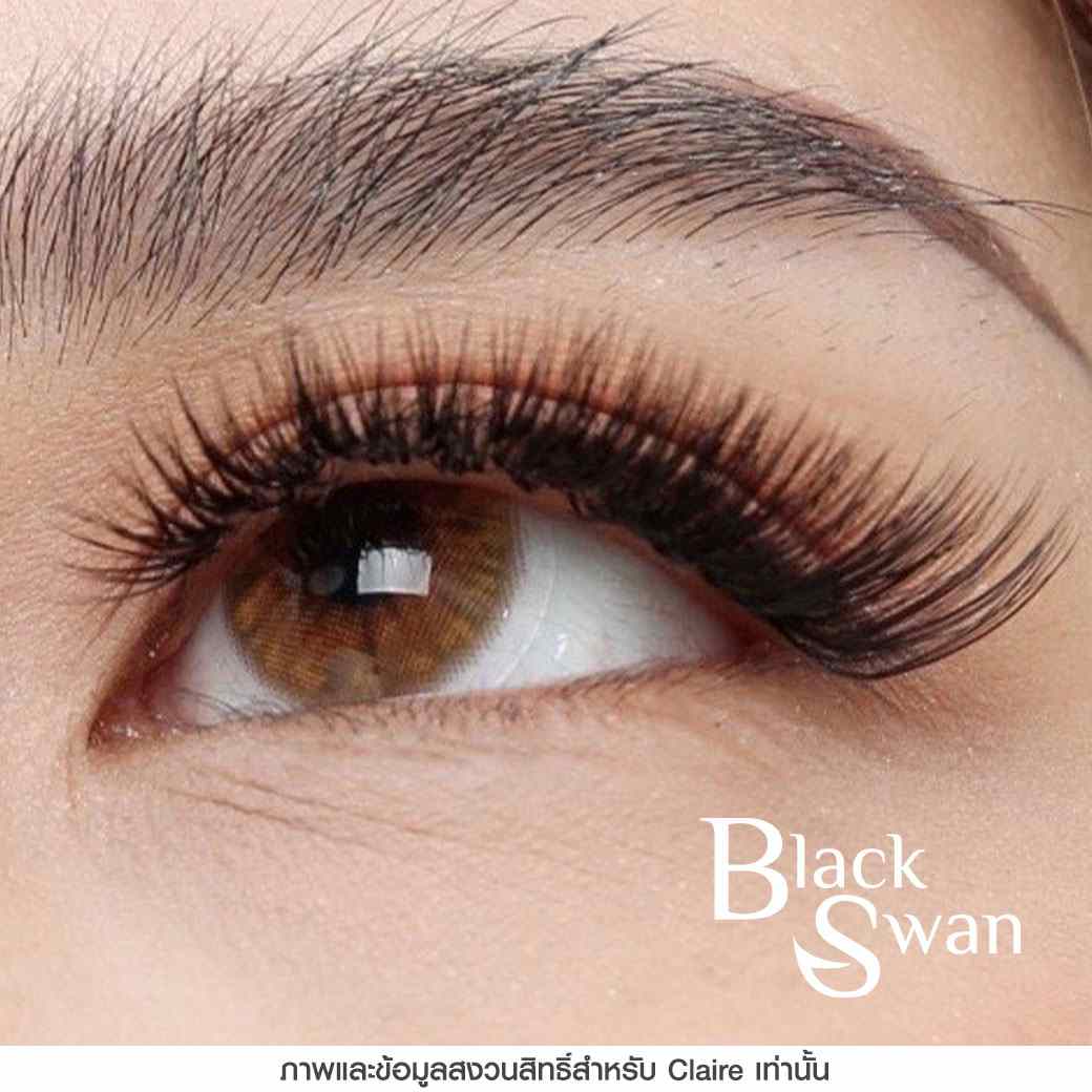 ขนตา Black Swan,ต่อขนตาBlack Swan,ขนตาหางหงส์,ต่อขนตาหางหงส์,ต่อขนตา,ต่อขนตาclaire,ต่อขนตาclairebyslc,